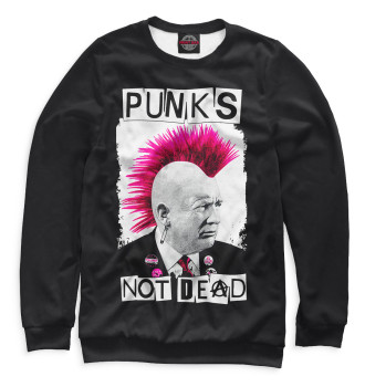 Свитшот Punks Not Dead