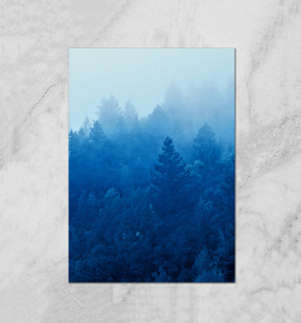  Туманный лес