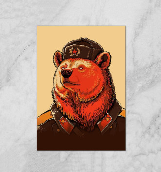  Медведь СССР