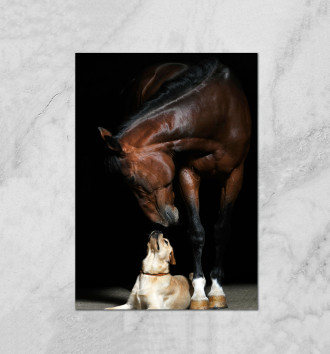  Лошадь и пес
