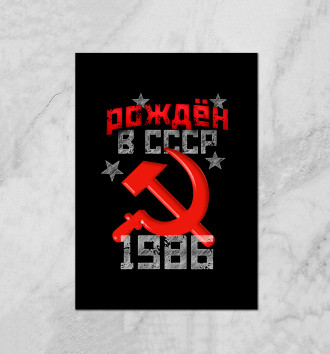  Рожден в СССР 1986