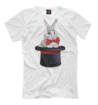 Футболка для мальчиков Кролик в шляпе