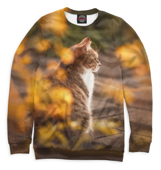Свитшот Осенний кот
