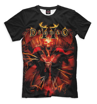 Футболка Diablo II