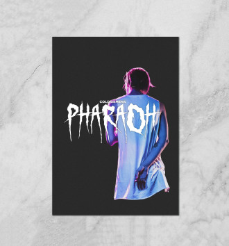  Pharaoh / Coldsiemens