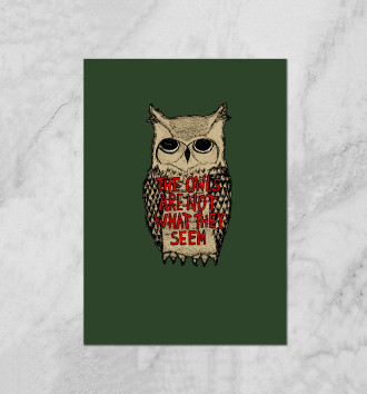  The Owls Are Not What They Seem