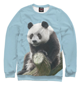 Свитшот для мальчиков панда