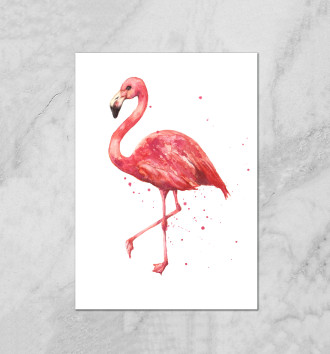  Розовый фламинго
