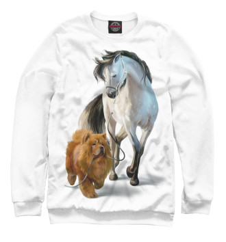 Свитшот для девочек Чау-чау и белый конь